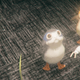 Project Porg lets you have your own pet porg.
